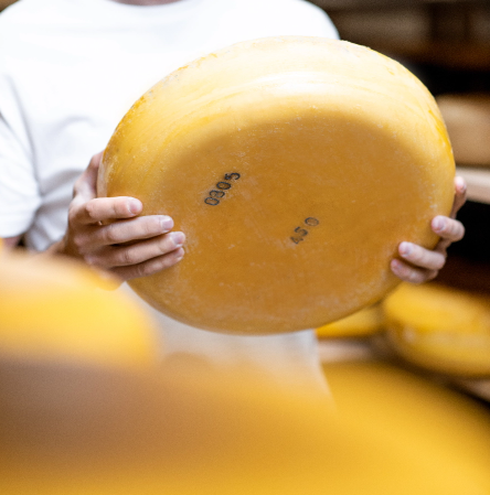 imagem-queijo